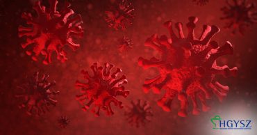 Összefoglaló a koronavírus járvánnyal kapcsolatos tudnivalókról gyógyszertárak részére 1. rész